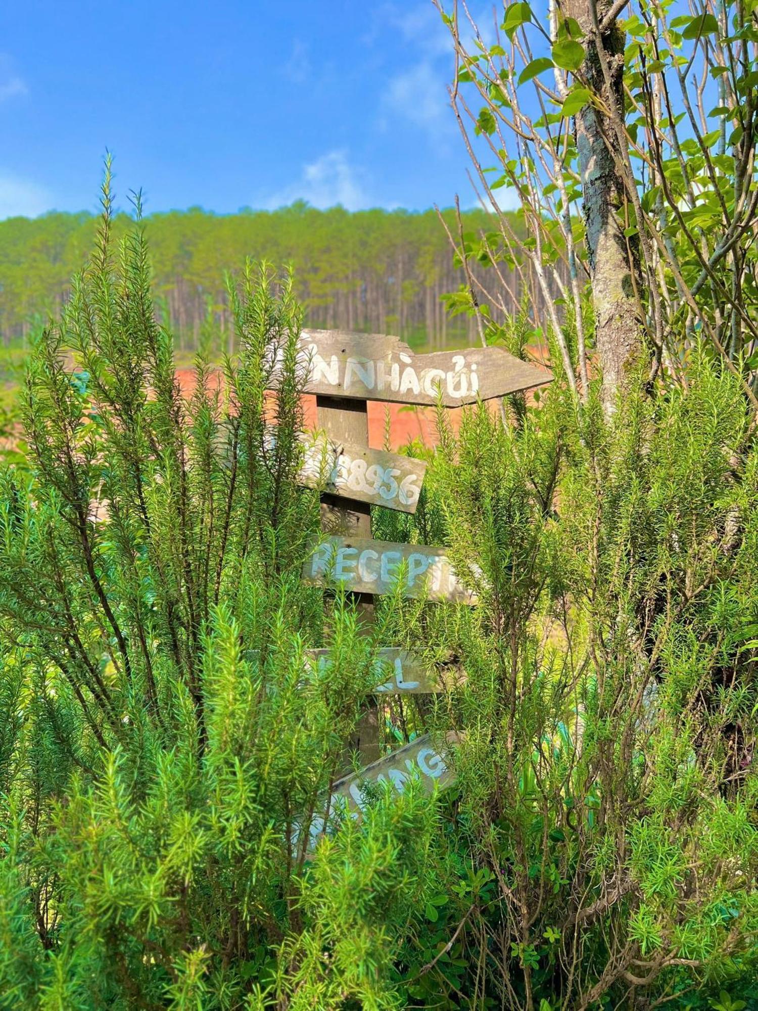 Appartamento Vườn Nhà Củi Da Lat Esterno foto