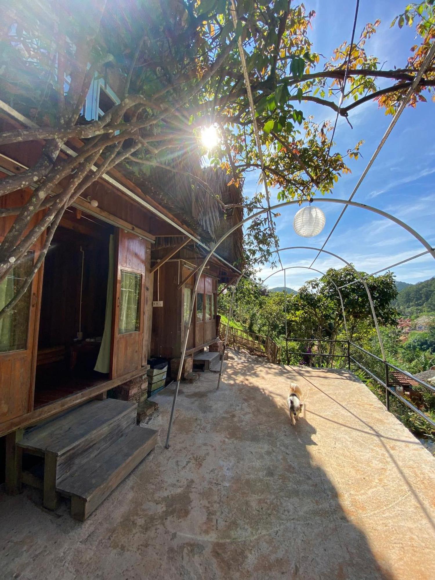 Appartamento Vườn Nhà Củi Da Lat Esterno foto