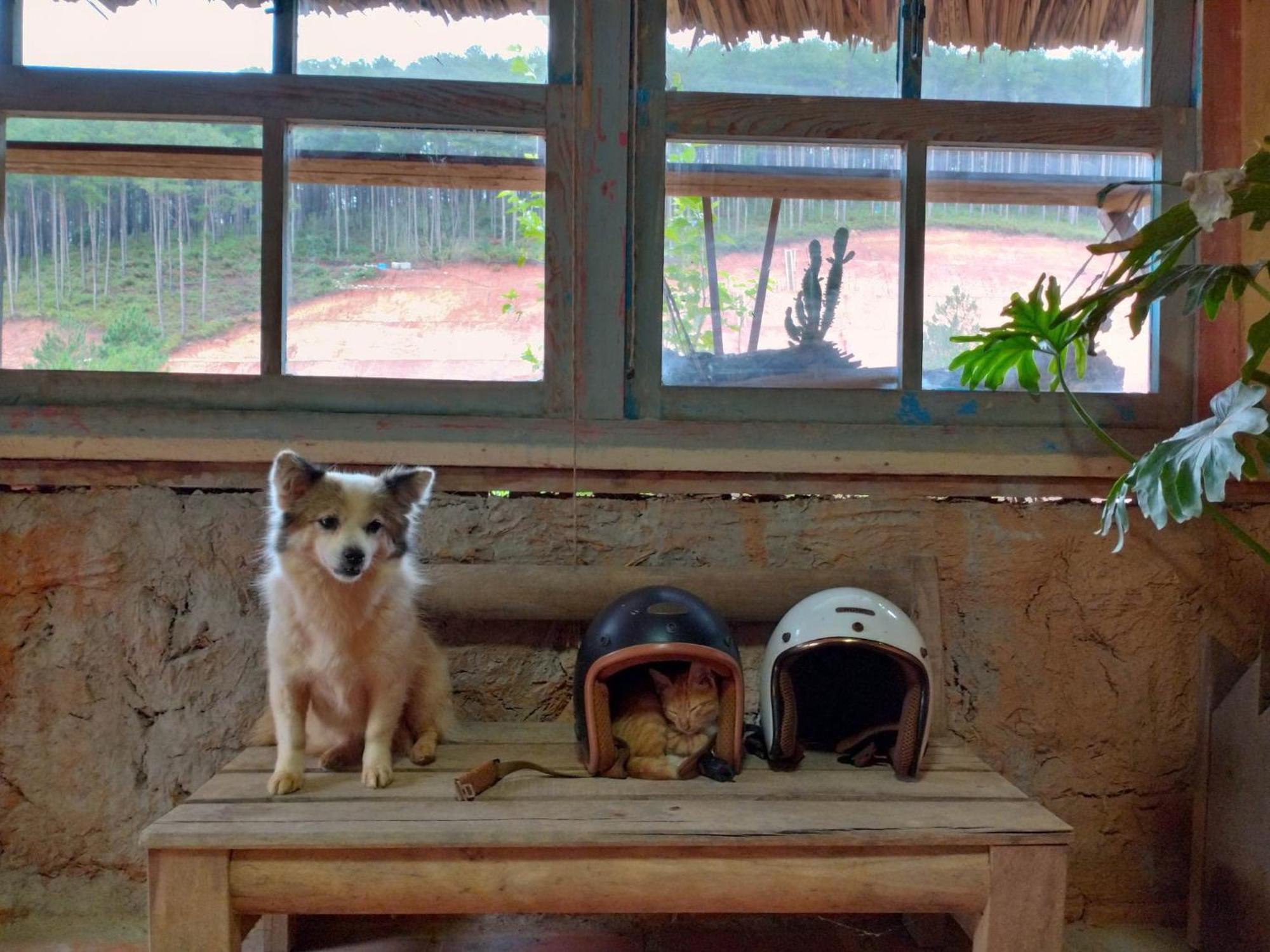 Appartamento Vườn Nhà Củi Da Lat Esterno foto