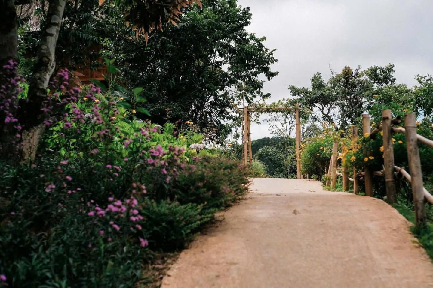 Appartamento Vườn Nhà Củi Da Lat Esterno foto
