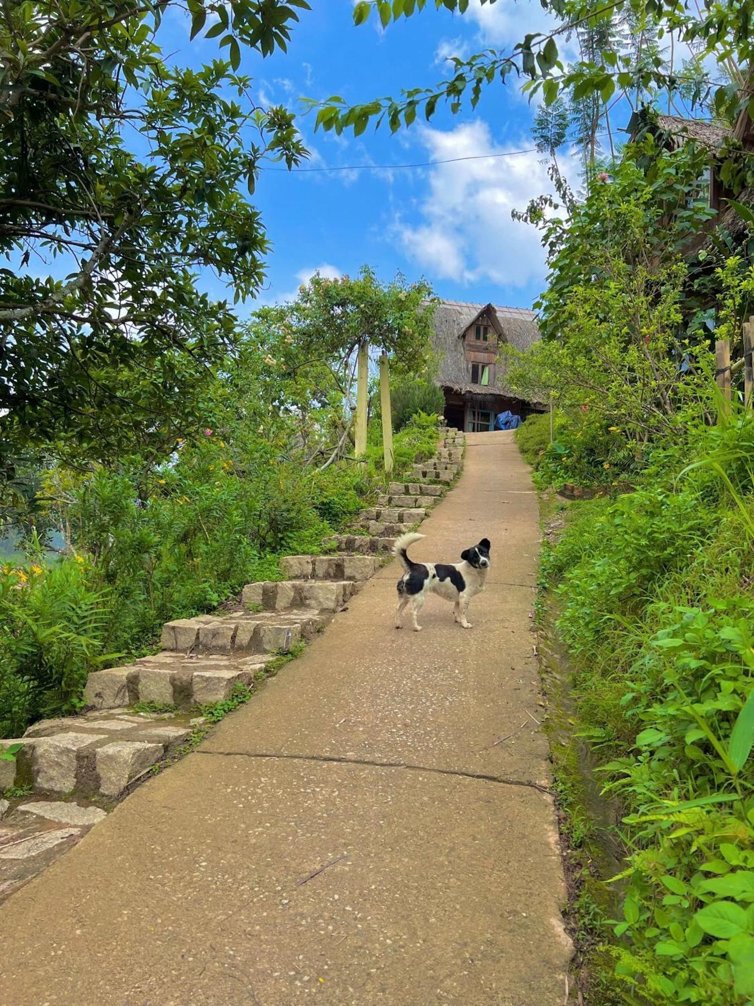 Appartamento Vườn Nhà Củi Da Lat Esterno foto