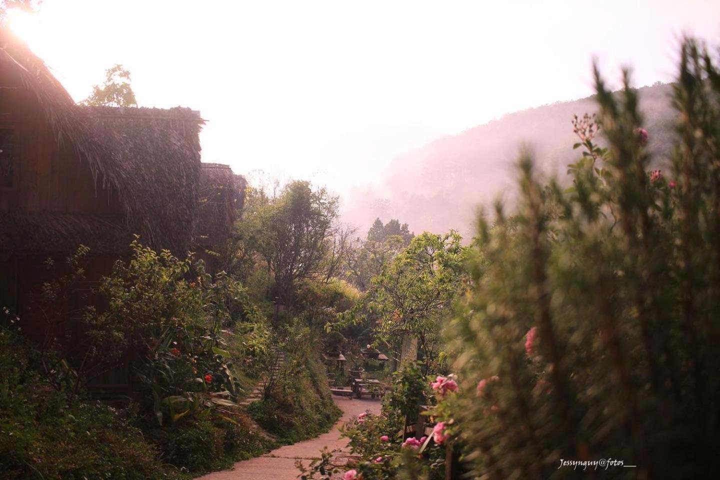 Appartamento Vườn Nhà Củi Da Lat Esterno foto
